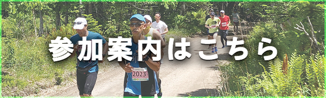 参加案内はこちら（PDF）